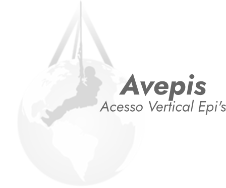 Linha de vida Curitiba, Dispositivo de ancoragem Avepis