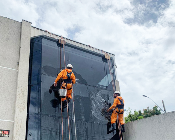 Linha de vida Curitiba, Dispositivo de ancoragem Avepis