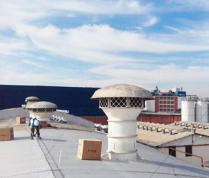 Linha de vida Curitiba, Dispositivo de ancoragem Avepis